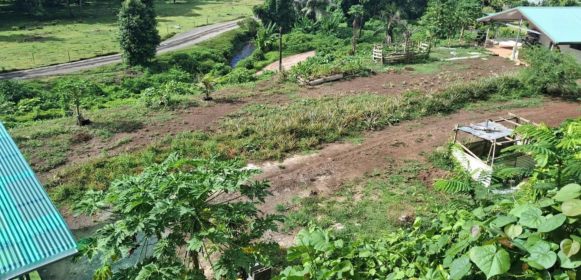 Camping Nany Taputapuapea Campsite